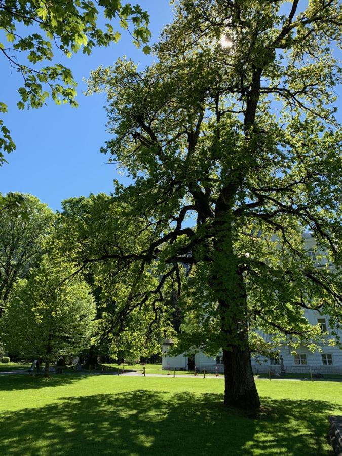 Schlosspark Grubhof - Mitterer Sankt Martin bei Lofer Bagian luar foto